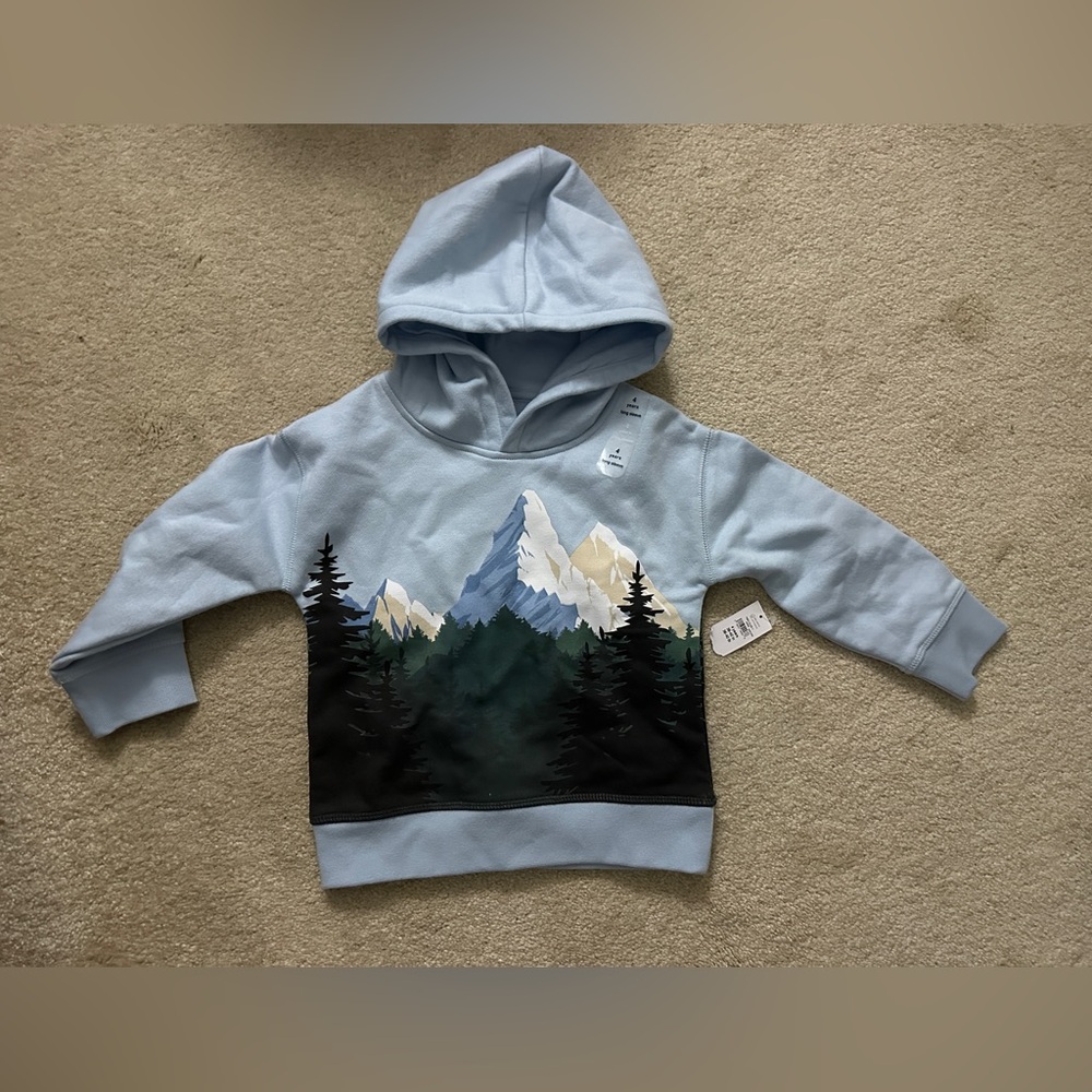 GAP Toddler Boys Mountain Sky Graphic Hoodie